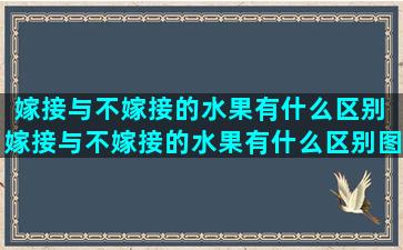 嫁接与不嫁接的水果有什么区别 嫁接与不嫁接的水果有什么区别图片